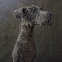タロ (@l_manko) 's Twitter Profile