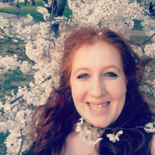 DaraGold1's profile picture. musical theater creator, playwright, lyricist, political wind, child whisperer, encore provoker, traveling spirit, laugh finder