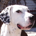Scott Plantier (@scott479) Twitter profile photo Scott Plantier (@scott479) Twitter profile photo