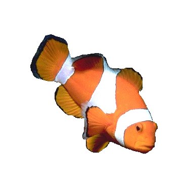 LinangData's profile picture. Tools you can't live without!

https://t.co/zzcxjocqqB