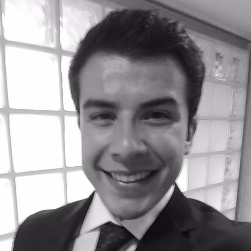 romarpla's profile picture. Ingeniero en cibernética y sistemas computacionales, fundador de Ember, desarrolladora de soluciones tecnológias para tu crecimiento
