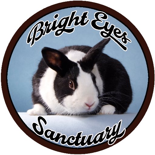 Can You See My Will-to-Be? We are a multi-species animal sanctuary with primarily house rabbits for adoption #brighteyesalive