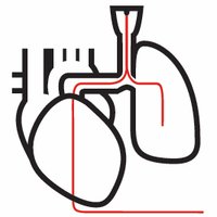 PERT Consortium (@pertconsortium) 's Twitter Profile Photo PERT Consortium (@pertconsortium) 's Twitter Profile Photo