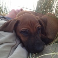 Sarah Rosemary (@sarahrosemary3) 's Twitter Profile Photo