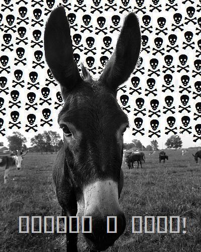 BLKNOV's profile picture. This is Chris... I'm from Burlington, ON and I kill shit on a mic.