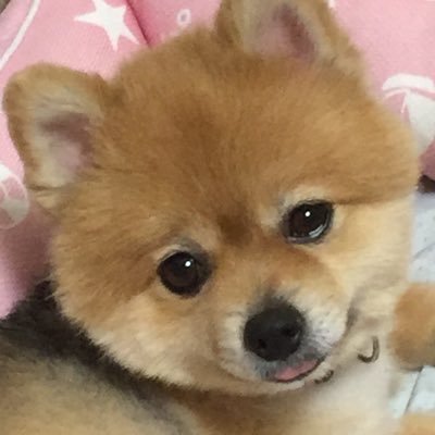 中澤卓也くんを応援してます⭐️ツイッター始めたばかりの初心者ですがよろしくお願いします😄