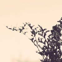 ﮼وفآ 🕊💙' (@w_1ox) Twitter profile photo