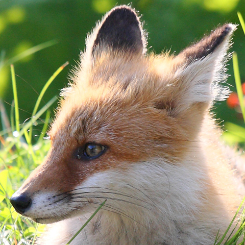 そらうみ Profile