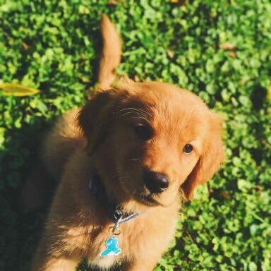 BurnzSophie's profile picture. 