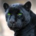 Price Elementary (@pricepanthers) Twitter profile photo Price Elementary (@pricepanthers) Twitter profile photo