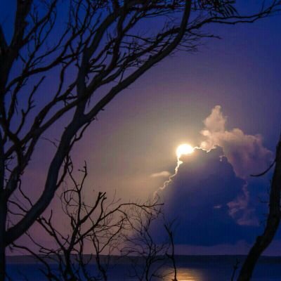 5NeeN_NeeN's profile picture. N