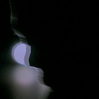 i've seen space jam over 500 times. she/her.
