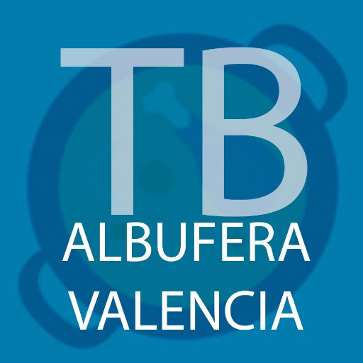Evento único en la Albufera de Valencia | Team Building para empresas o grupos, paseo en barca + auténtica Paella Valenciana y All i Pebre.