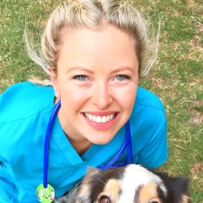 Veterinarian, Bondi Vet Coast to Coast, Kingston Veterinary Hospital, instagram @drdannidusek