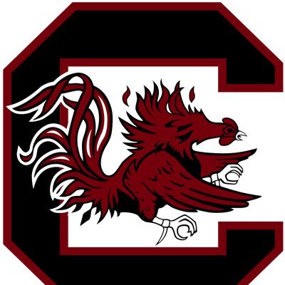 Proud South Carolina Alum. ‘65. Mother of 2. Wife and Friend. #CocksNationalChamps