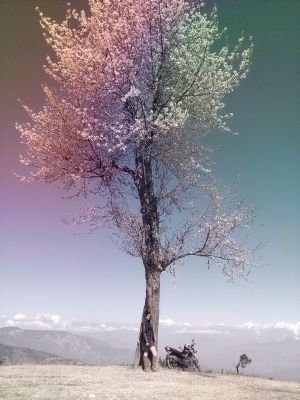 ashika_paudel's profile picture. “The pain started years ago, but I’d lived with
it for so long at that point that I’d accepted it
as an inevitable part of me.”