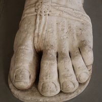 INTP Army (@intp_army) 's Twitter Profile Photo