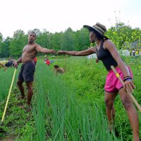Farming While Black (@blkfarmer) 's Twitter Profile