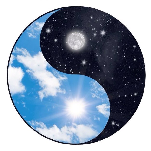 LorenzoBrandima's profile picture. 