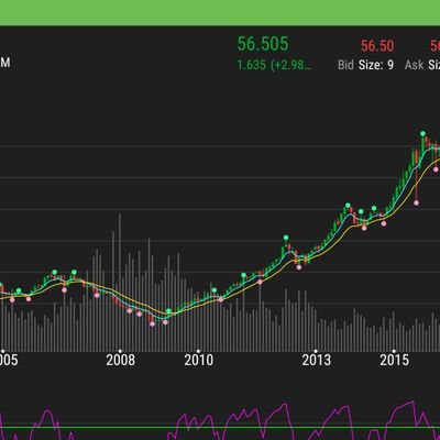 Elliott Wave Trader mentored by one of the best.