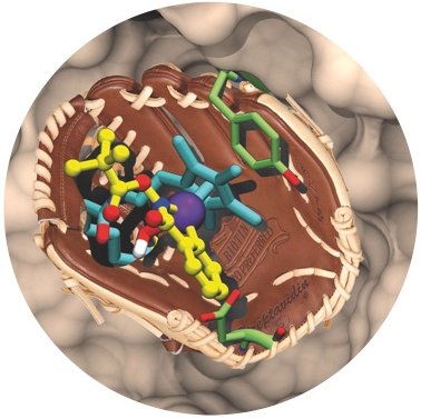 Artificial Metalloenzymes Laboratory at @UniBasel_en led by Prof. Thomas R. Ward.