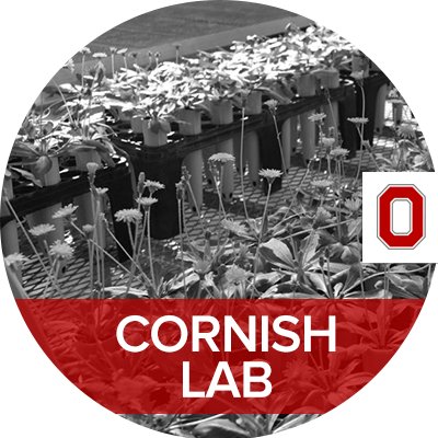 We here at Cornish Lab are working to develop a domestic natural rubber crop in Ohio and across the US to help with the supply shortfall.