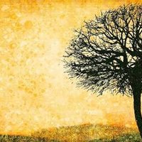 Ekrem (@gdervis798) Twitter profile photo