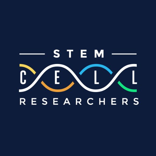 Your resource in stem cell transplants, embryonic stem cell research, and different types of stem cells. 🔬