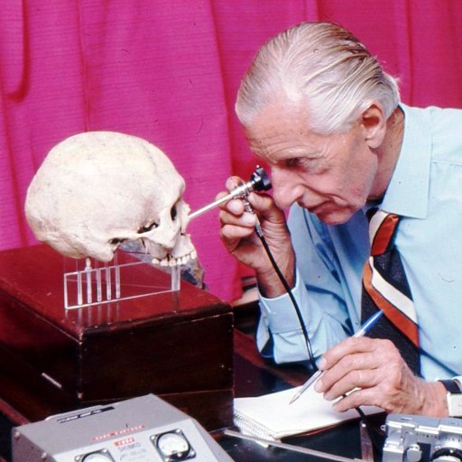 PFOTB_Project's profile picture. 'Putting Flesh on the Bones': Unlocking the Calvin Wells Archive at the University of Bradford