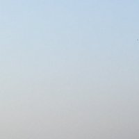 STWFD (@we_are_shut) 's Twitter Profile Photo