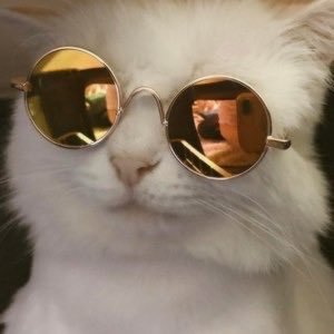 pritkusha's profile picture. понравлюсь твоей маме, но ты не познакомишь