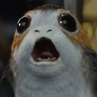 Biscuit (@labiscuitterie) Twitter profile photo