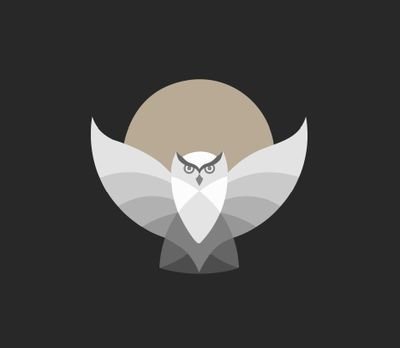 BlackOwltech's profile picture. A new vew for a new age. 
Developing interactive designs
