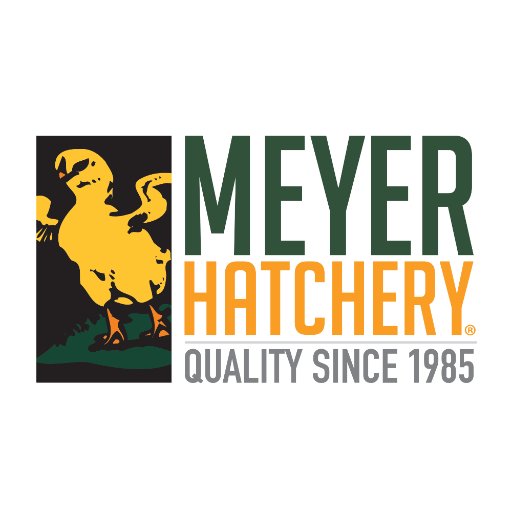 Official Twitter Page for Meyer Hatchery, America's Premier Poultry Source! Shop our selection of chicks, ducks, turkeys, and other birds for your backyard.