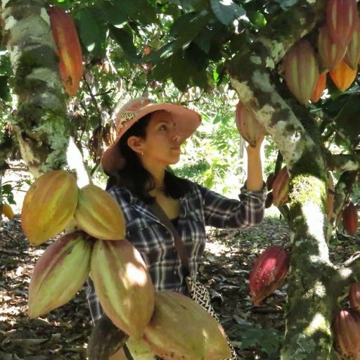 Peruvian agronomist, daugther of smallholder #cocoa farmers, and #chocolate maker.