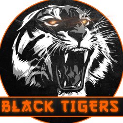 Black_Tigers_fr's profile picture. 