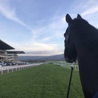 Ryan McCue (@mccueryan12) 's Twitter Profile