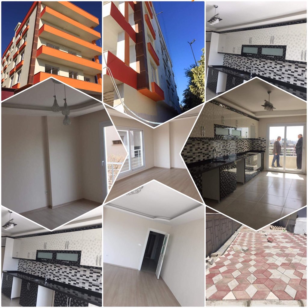 OzdoganMuhsin's profile picture. 