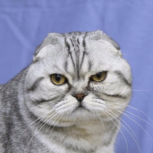 paige__roderick's profile picture. My psychiatrist dumped me