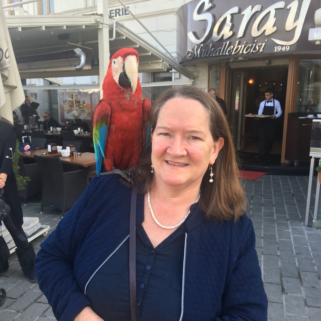 patriciaoleary's profile picture. interested in: living without Covid, biodiversity, genealogy, rural living. Avoiding: Covid, religion, consumerism and artificial …