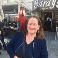 Patricia O'Leary (@patriciaoleary) 's Twitter Profile