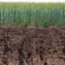 Soil Microbiome (@soilmicrobiome) Twitter profile photo Soil Microbiome (@soilmicrobiome) Twitter profile photo