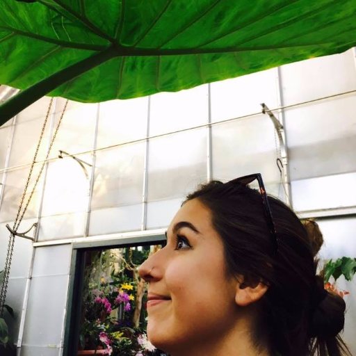 LenaParkerrr's profile picture. Data Nerd. Cheese Lover.