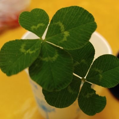 love8711141's profile picture. 