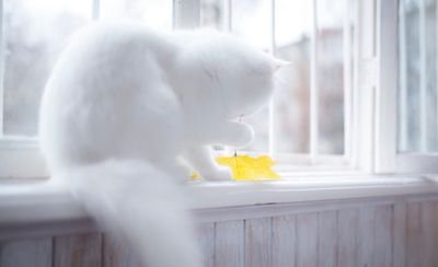 dream_lecture's profile picture. เอาไว้จดเรื่องที่ฝัน ห้ามเอาไปตีหวย