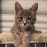 Alex Reid (@alex_reid22) 's Twitter Profile