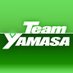 @team_YAMASA