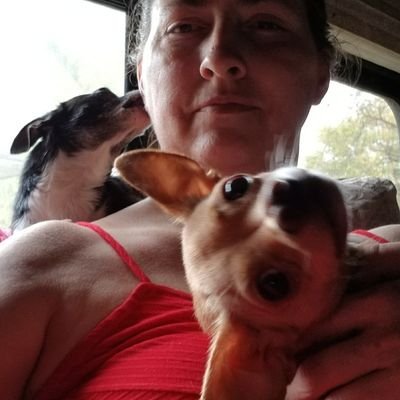 Me, my tiny dogs, Bonnie & Chupa and Chupa's boyfriend, Mr. Snuggles the rat.