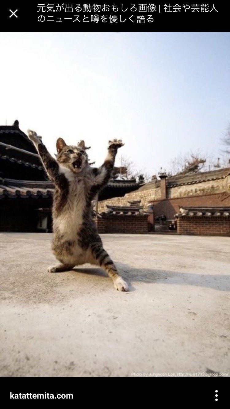 GIbYKP0XcfyTscc's profile picture. 