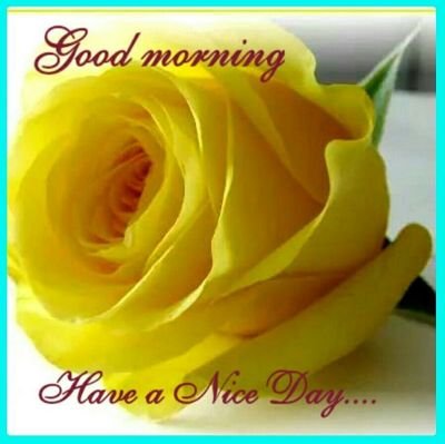 manoj_manoj's profile picture. ✍ Aspiring writer, short stories, a movie buff.